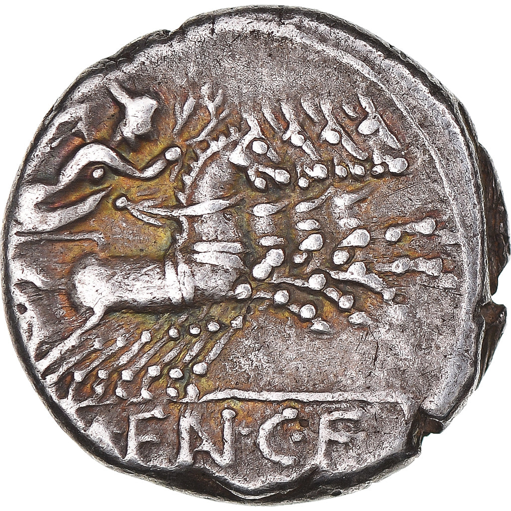 Acuñar,
M. Fannius C.f.,
Dinar