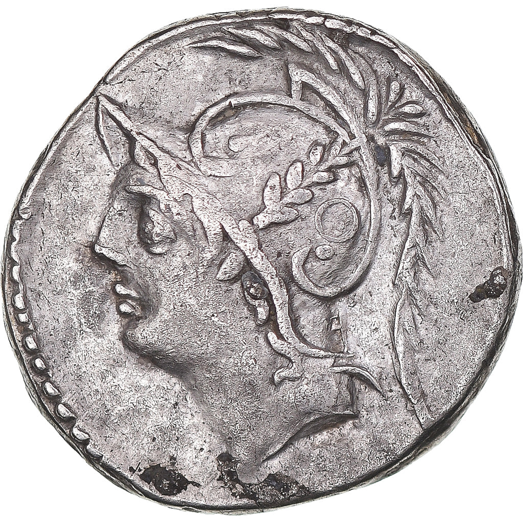 Acuñar,
Q. Minucio Termo M. f.,
Dinar