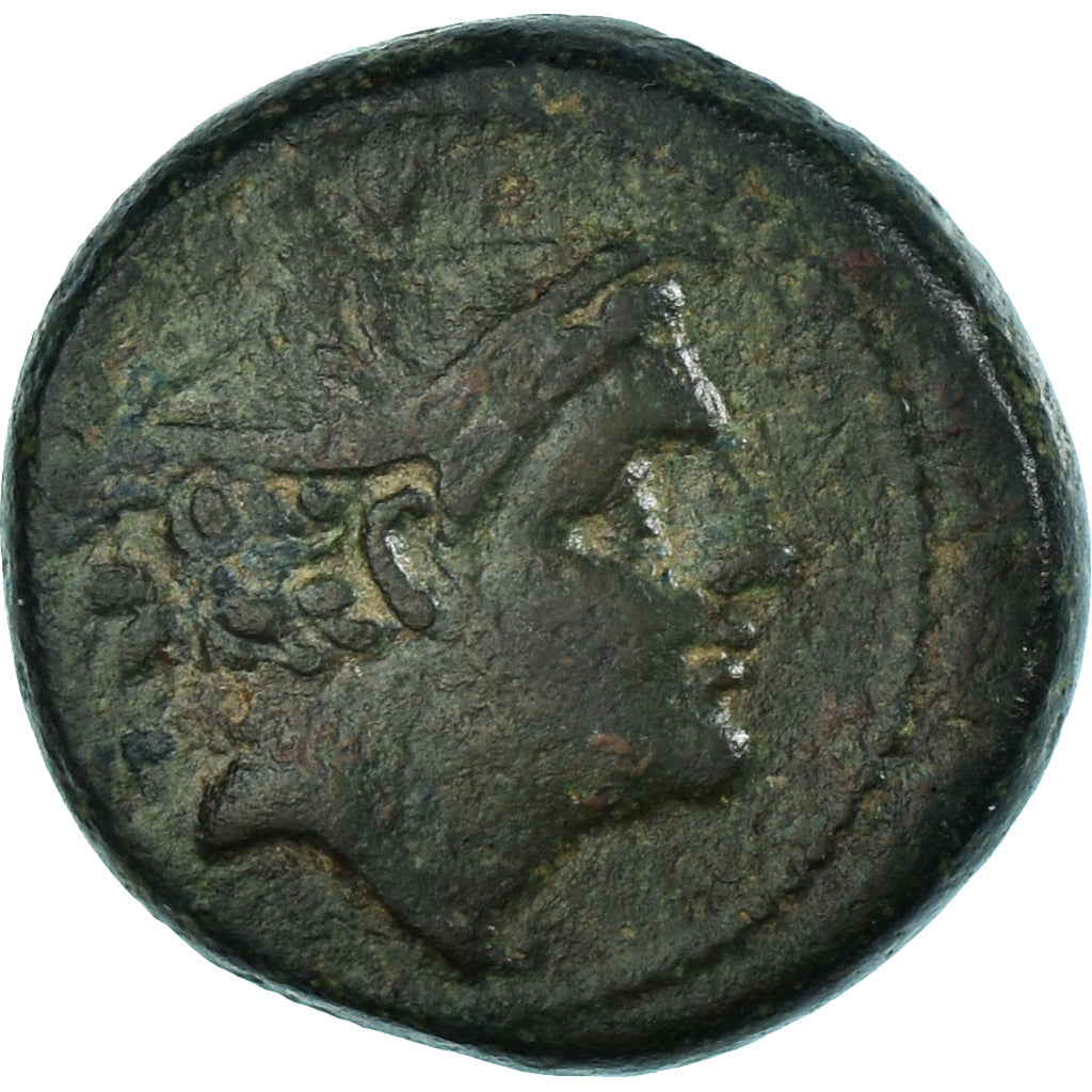 Moneda,
Anónimo,
Semuntia