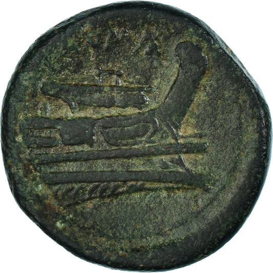 Moneda,
Anónimo,
Semuntia