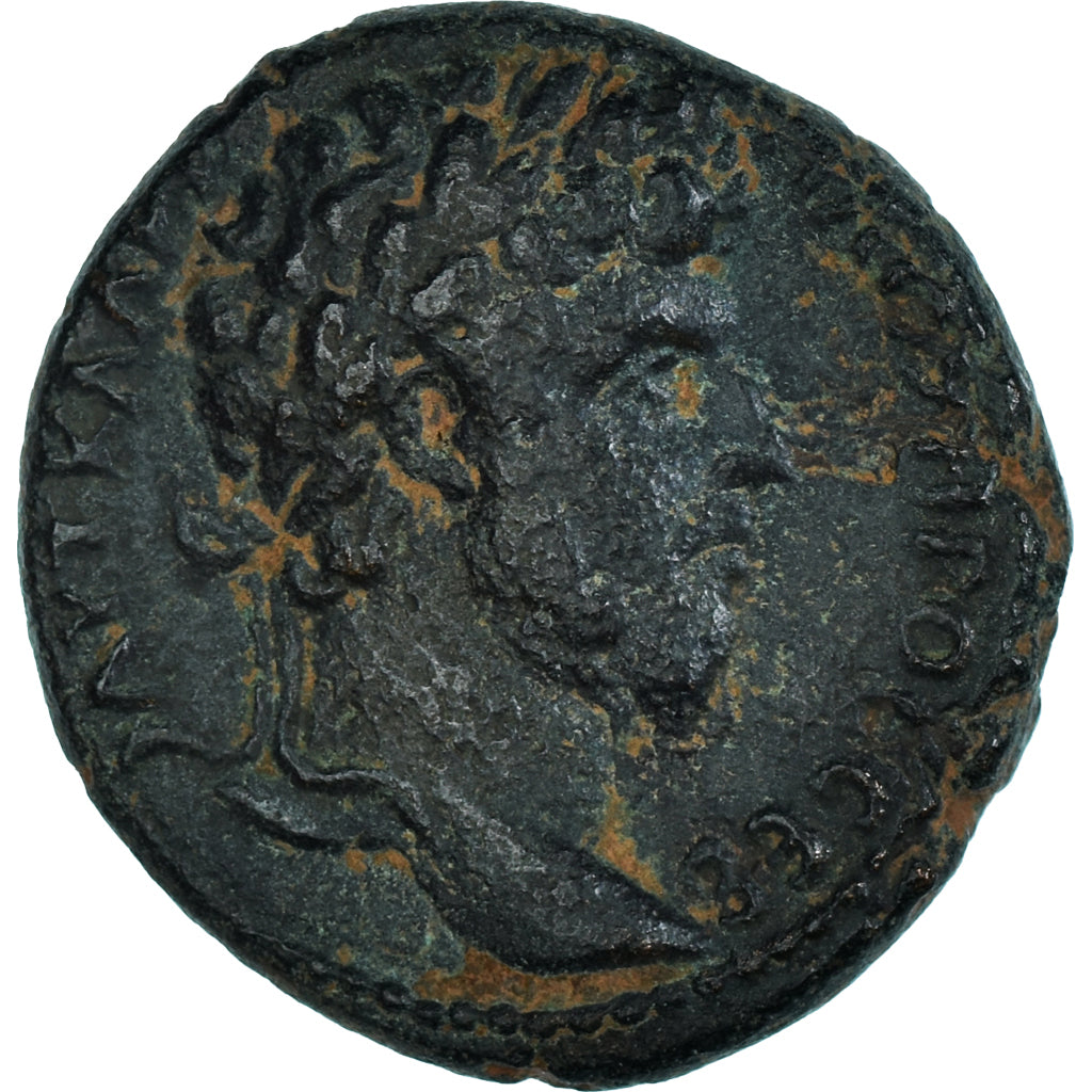 Acuñar,
Seleuco y Pieria,
Lucio Vero