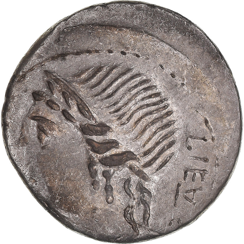 Acuñar,
Hernia,
Dinar