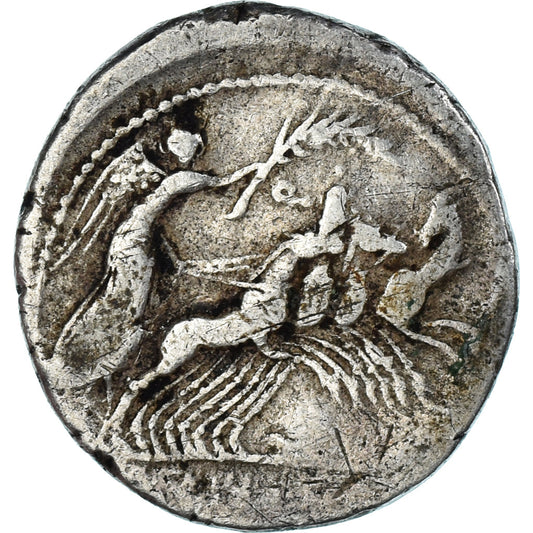 Acuñar,
Fabia,
Dinar