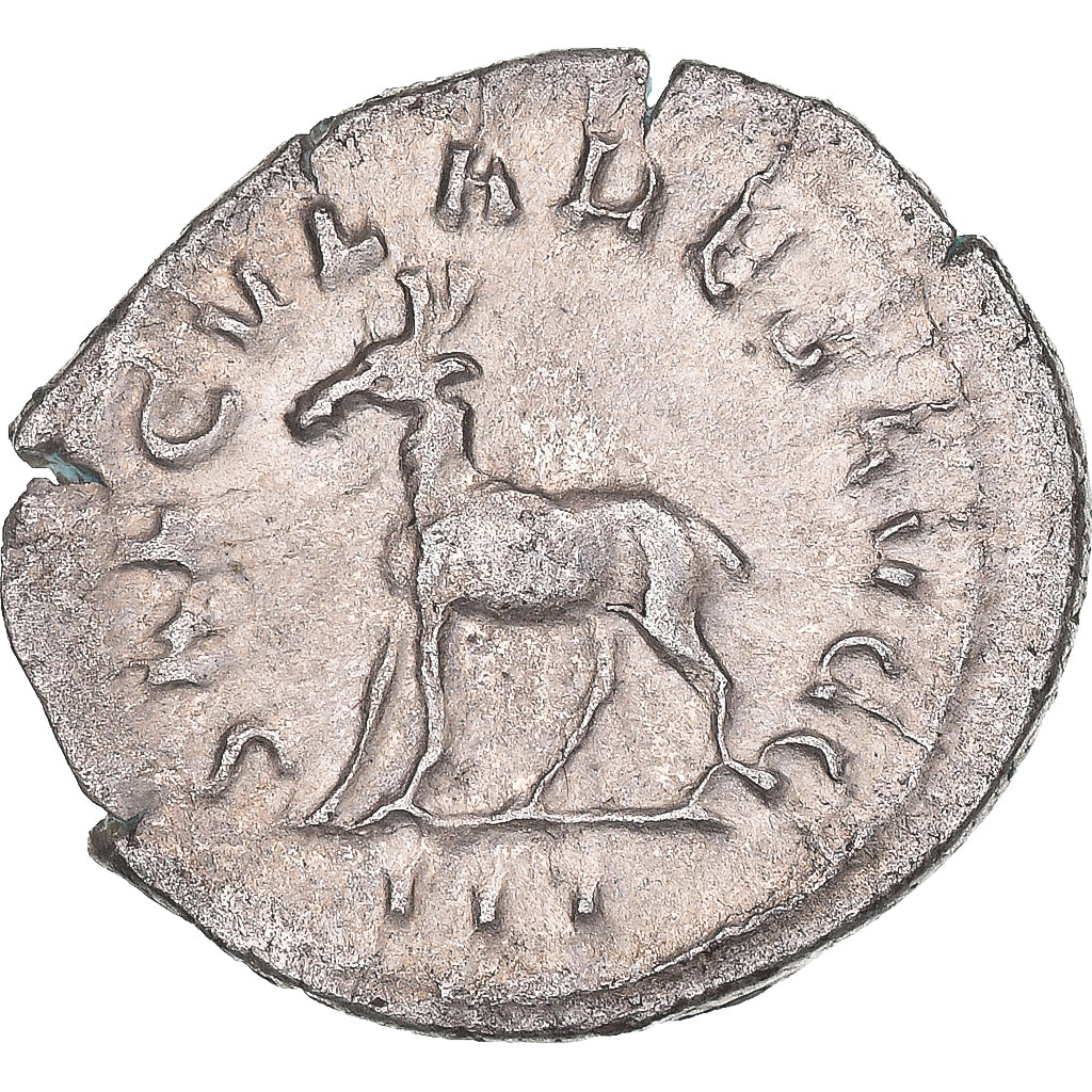 Moneda,
Felipe II,
Antoniniano