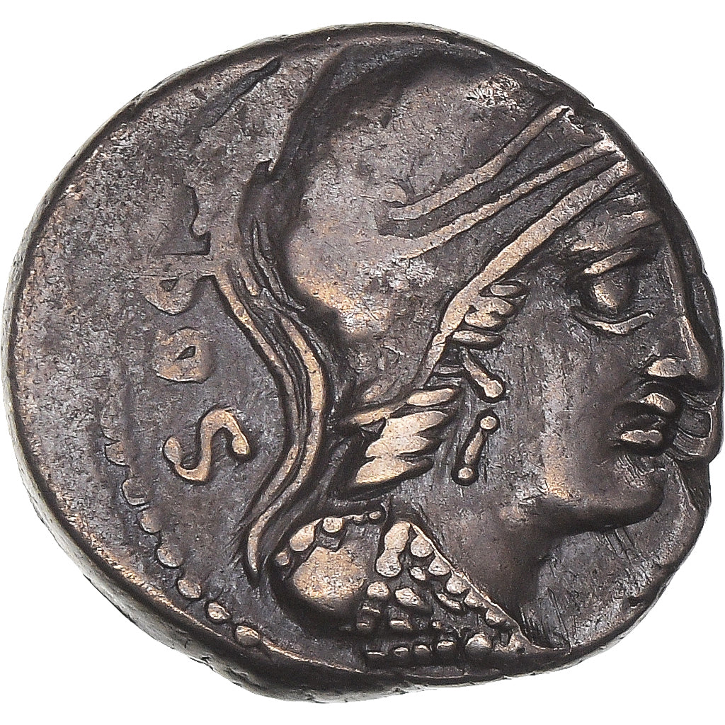 Acuñar,
rubría,
Dinar