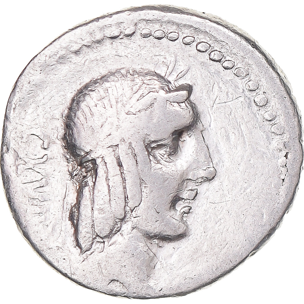 Acuñar,
calpurnia,
Dinar