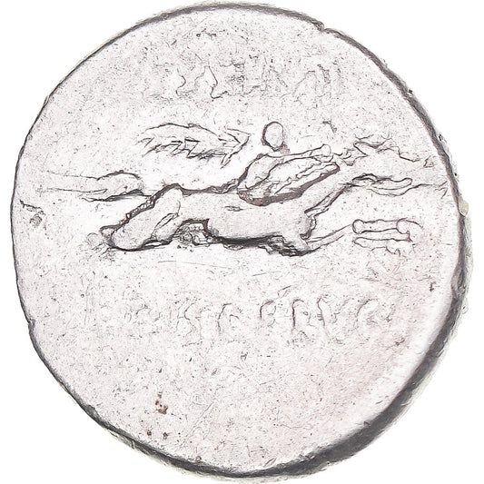 Acuñar,
calpurnia,
Dinar