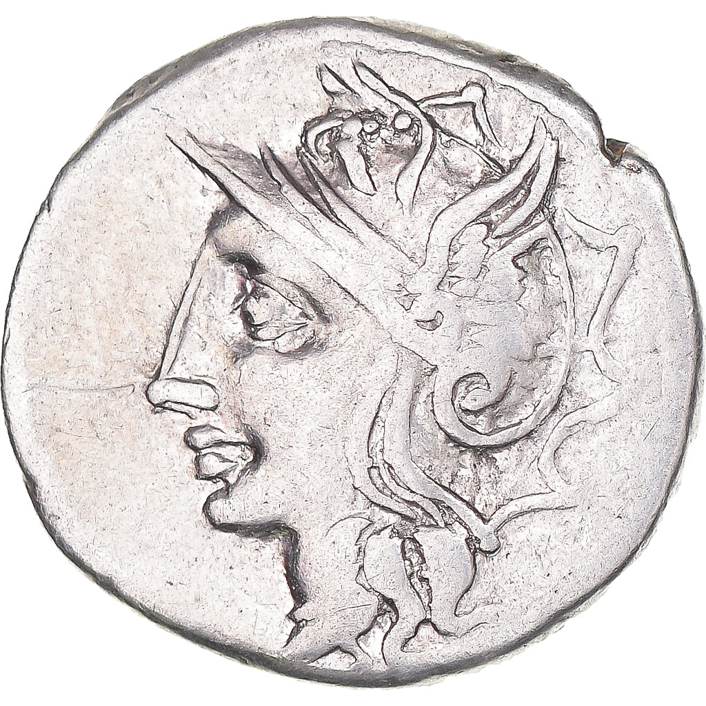Acuñar,
apulia,
Dinar