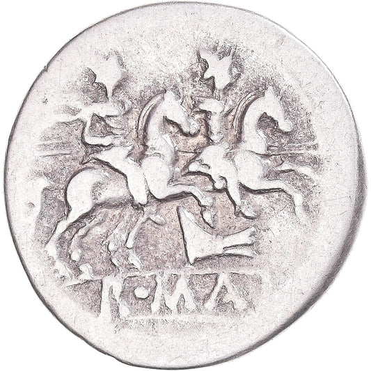 Acuñar,
Dinar,
206-195 a.C.