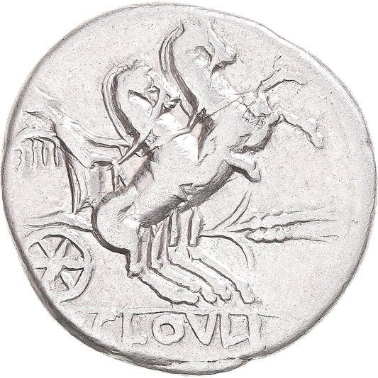 Acuñar,
kloulia,
Dinar