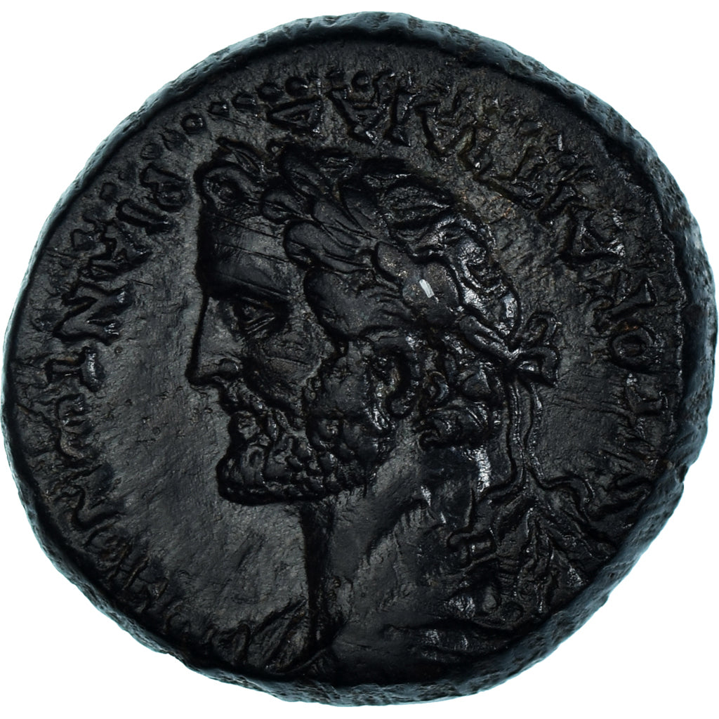 Acuñar, 
  
  Seleuco y Pieria, 
  
  Antonino Pío