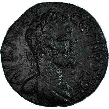 Acuñar,
 
 Moesia Inferior,
 
 Septimio Severo