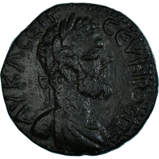 Acuñar,
 
 Moesia Inferior,
 
 Septimio Severo