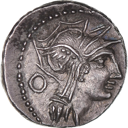 Junia, 
  
  Dinar, 
  
  91 a.C.