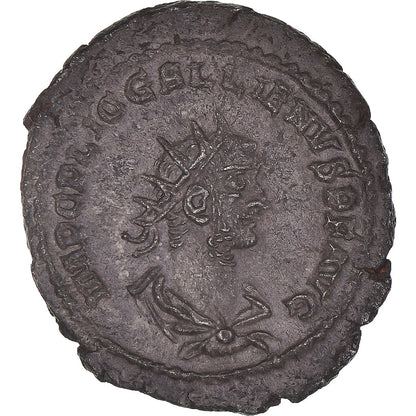 Moneda,

Galeno,

Antoniniano