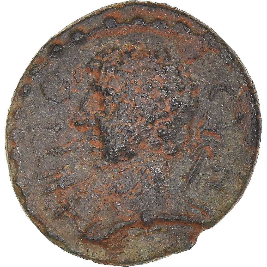Moneda,

Seleuco y Pieria,

Pseudoautónomos