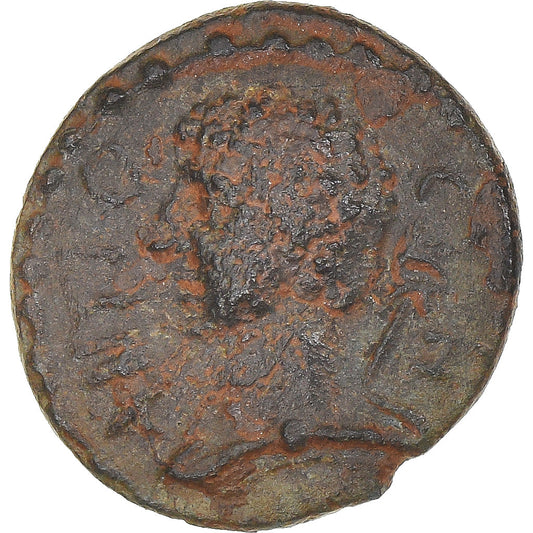 Moneda,

Seleuco y Pieria,

Pseudoautónomos