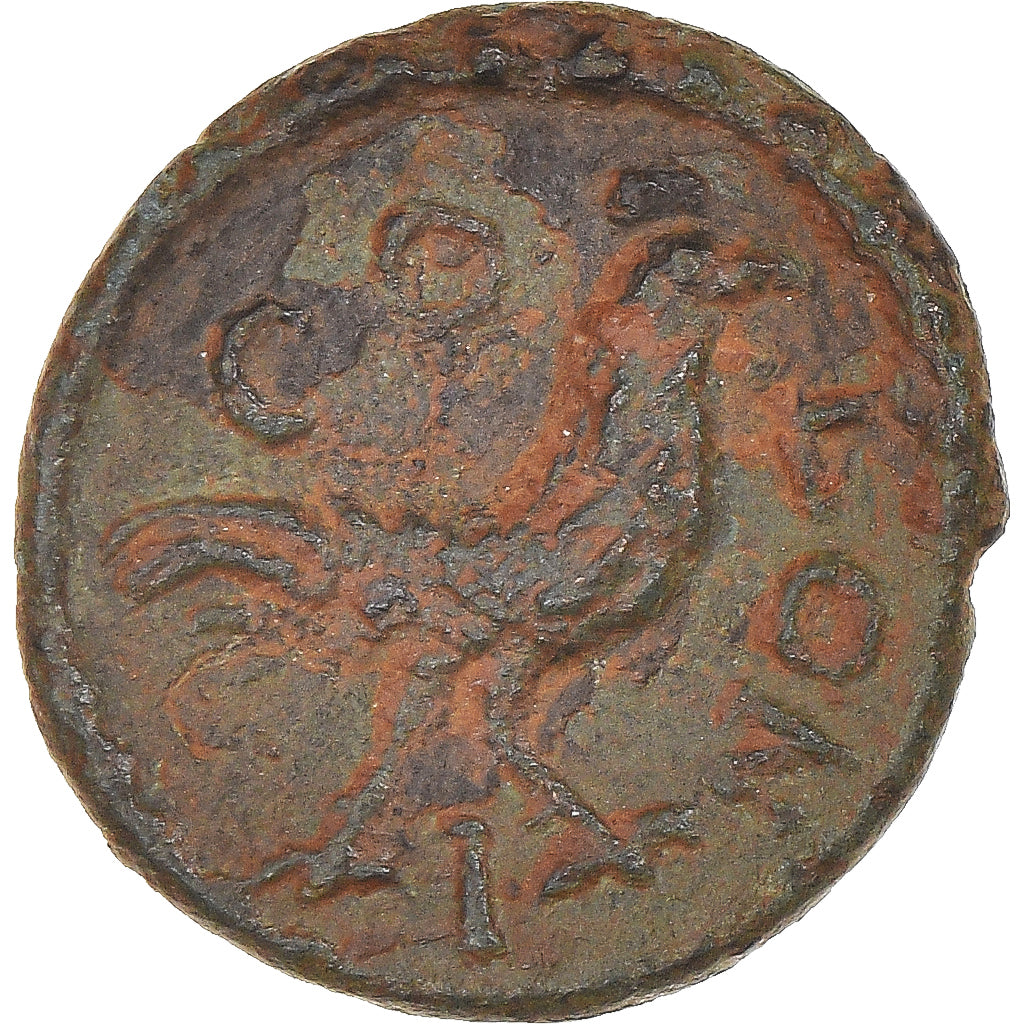 Moneda,

Seleuco y Pieria,

Pseudoautónomos