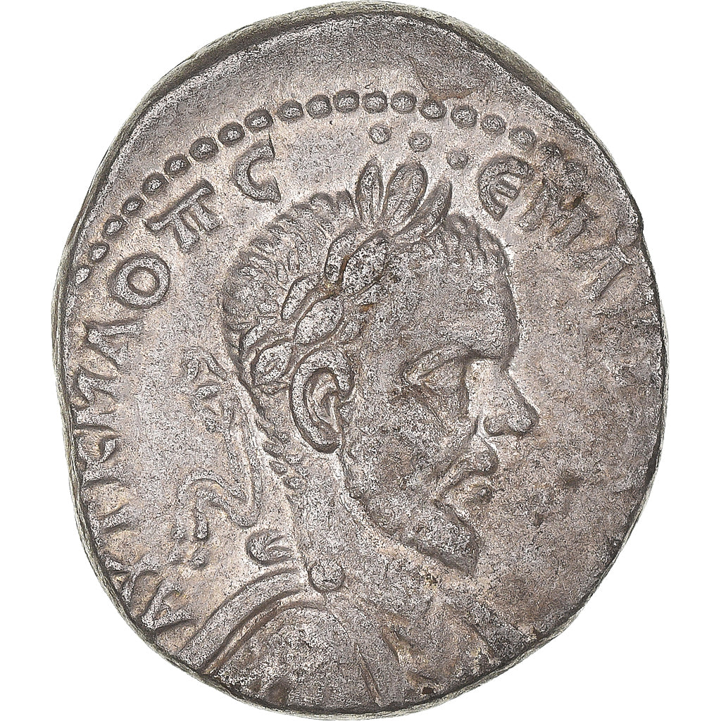 Acuñar, 
  
  curativo, 
  
  Macrino
