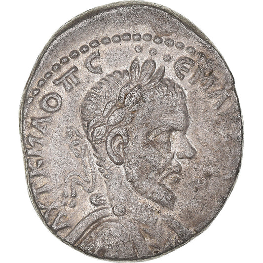 Acuñar, 
  
  curativo, 
  
  Macrino