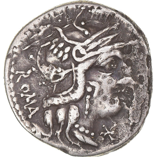 Acuñar, 
  
  kalidia, 
  
  Dinar