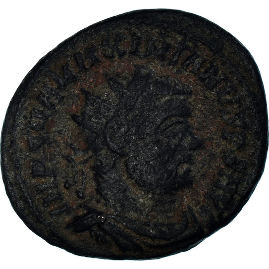 Acuñar, 
  
  Maximianos, 
  
  Follis