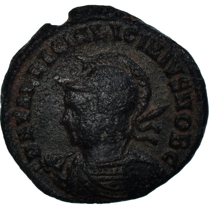 Acuñar, 
  
  Licinio II, 
  
  Follis