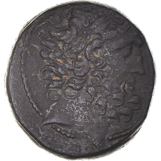 Moneda,

Seleuco y Pieria,

Tetrachalcona