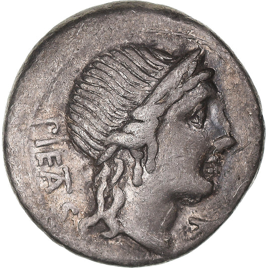 Acuñar, 
  
  Hernia, 
  
  Dinar