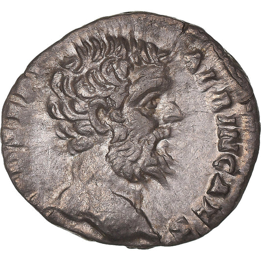 Acuñar,
 
 Clodio Albino,
 
 Dinar