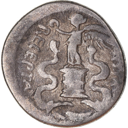 Moneda,

Agosto,

Cada cinco