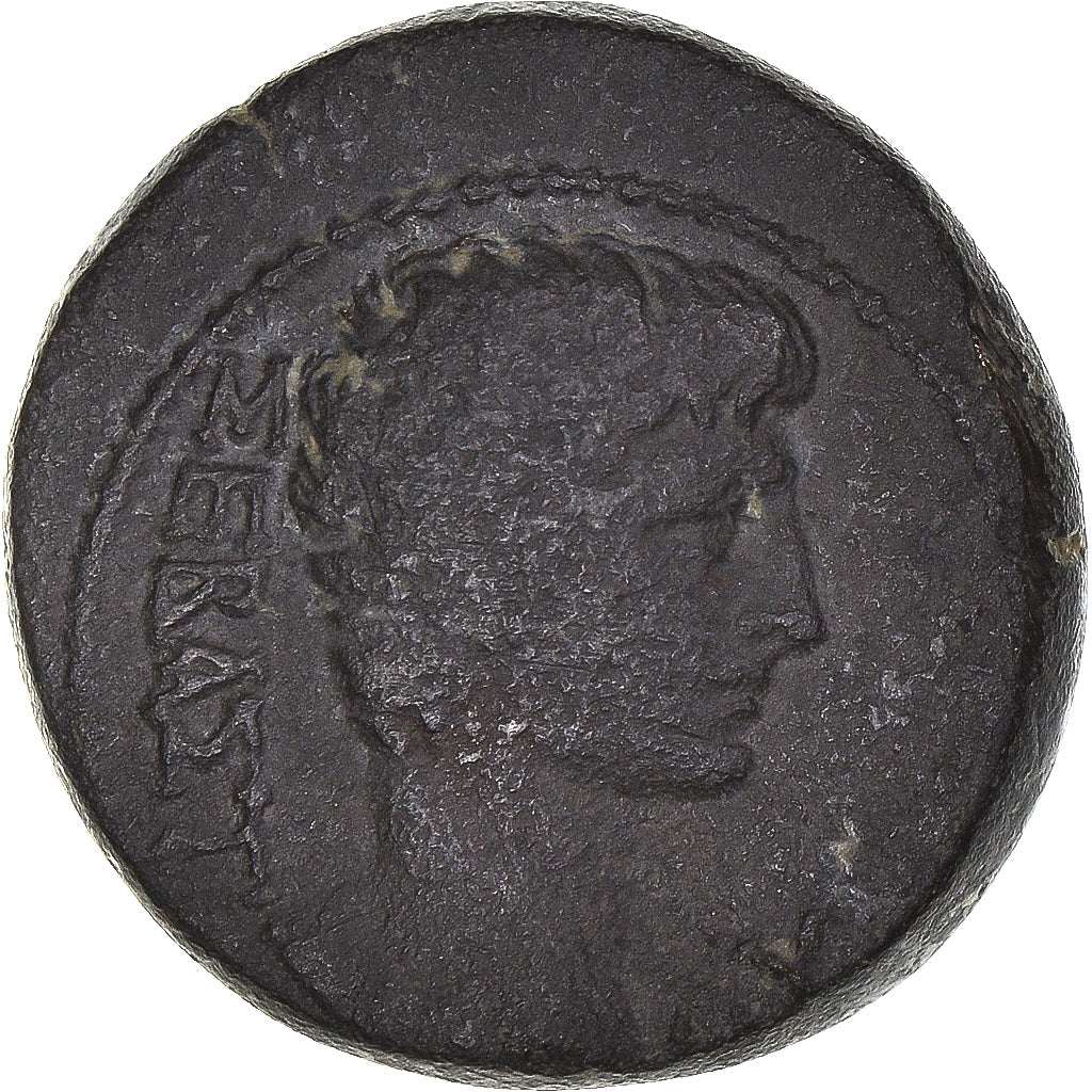 Acuñar, 
  
  lidia, 
  
  Augusta