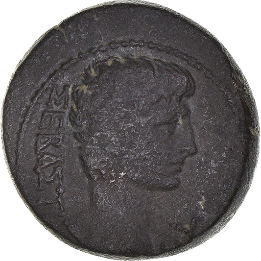 Acuñar, 
  
  lidia, 
  
  Augusta