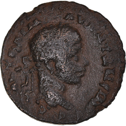 Acuñar, 
  
  Seleuco y Pieria, 
  
  Heliogábalo y Julia Maesa