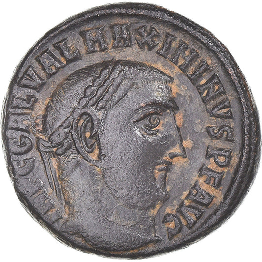 Acuñar, 
  
  Maximino II, 
  
  Follis