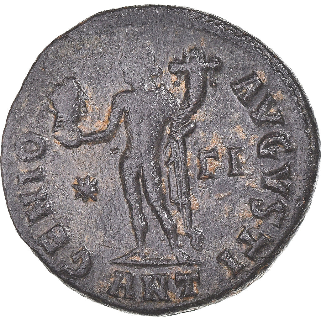 Acuñar, 
  
  Maximino II, 
  
  Follis