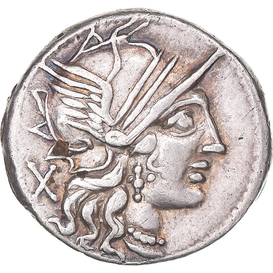 Acuñar, 
  
  riqueza, 
  
  Dinar