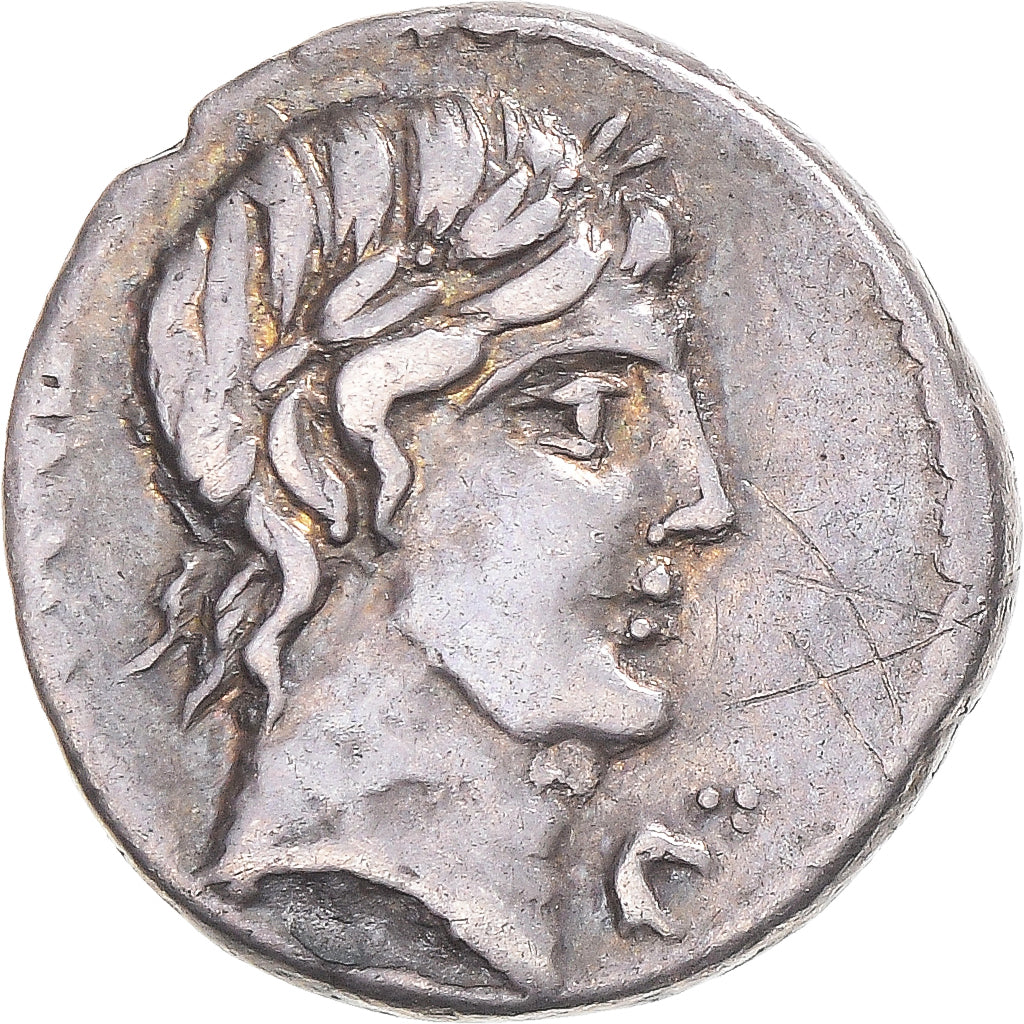Acuñar, 
  
  vibia, 
  
  Dinar