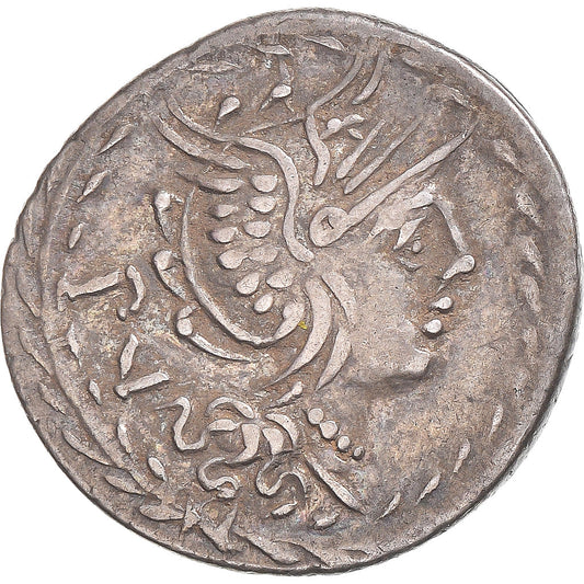 Acuñar, 
  
  lucilia, 
  
  Dinar