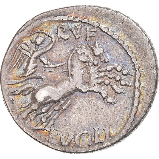 Acuñar, 
  
  lucilia, 
  
  Dinar