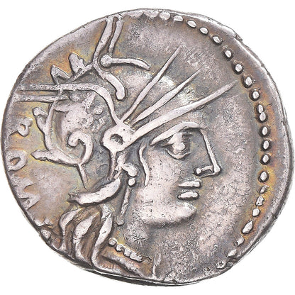 Moneda,

Tully,

Dinar