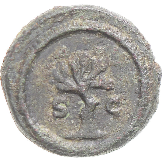 Moneda,

Antonino Pío,

Cuadrados