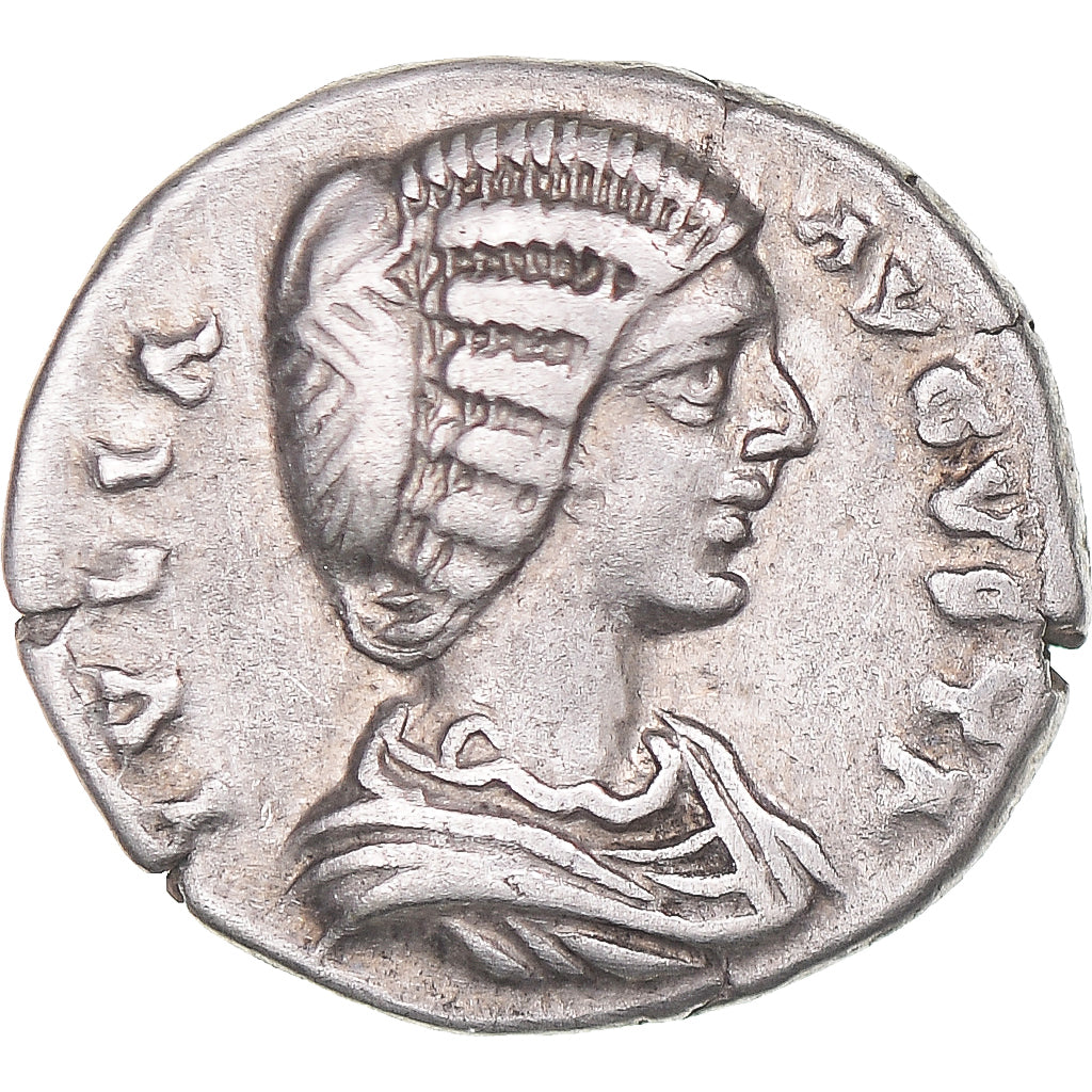 Julia Domna, 
  
  Dinar, 
  
  196-211