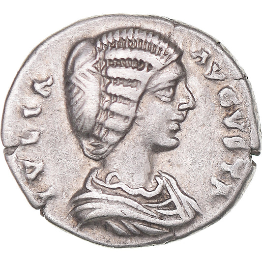 Julia Domna, 
  
  Dinar, 
  
  196-211