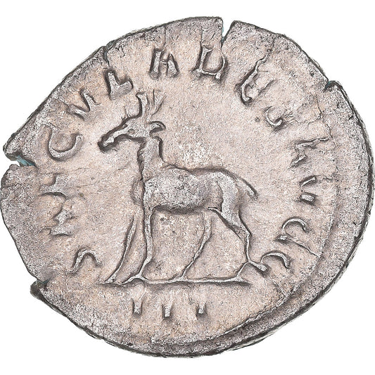 Moneda,

Felipe II,

Antoniniano