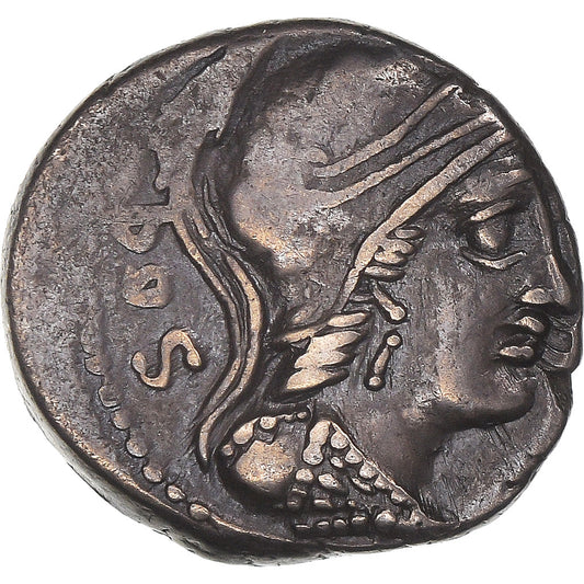 Acuñar, 
  
  rubría, 
  
  Dinar