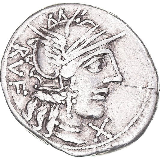 Acuñar,
 
 Quinto Minucio Rufo,
 
 Dinar