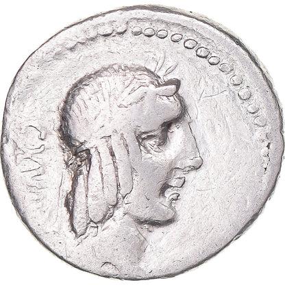 Acuñar, 
  
  calpurnia, 
  
  Dinar