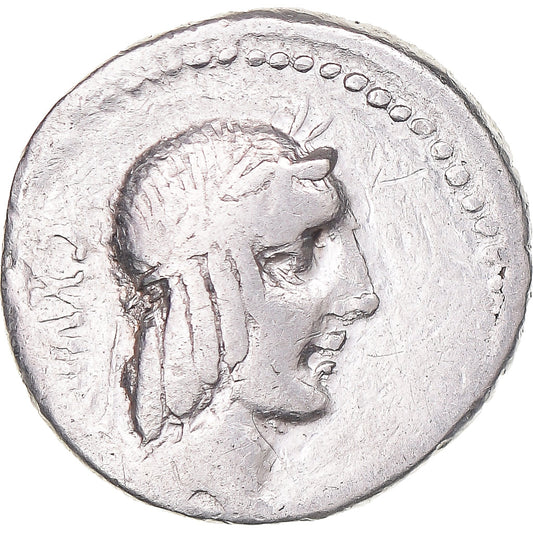 Acuñar, 
  
  calpurnia, 
  
  Dinar