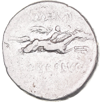 Acuñar, 
  
  calpurnia, 
  
  Dinar